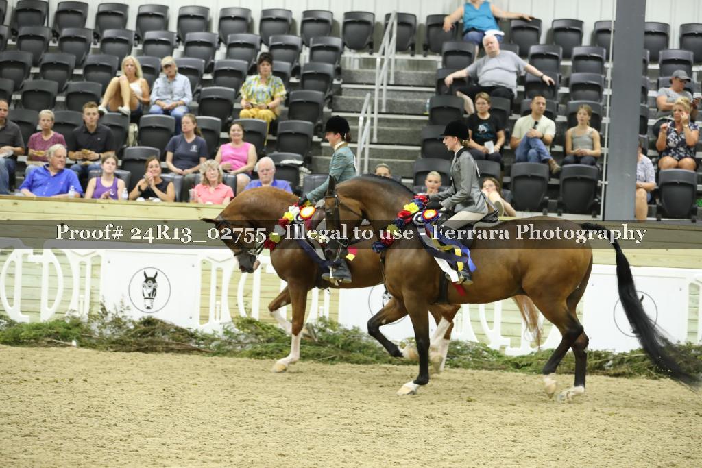 Proof 24R13_02755