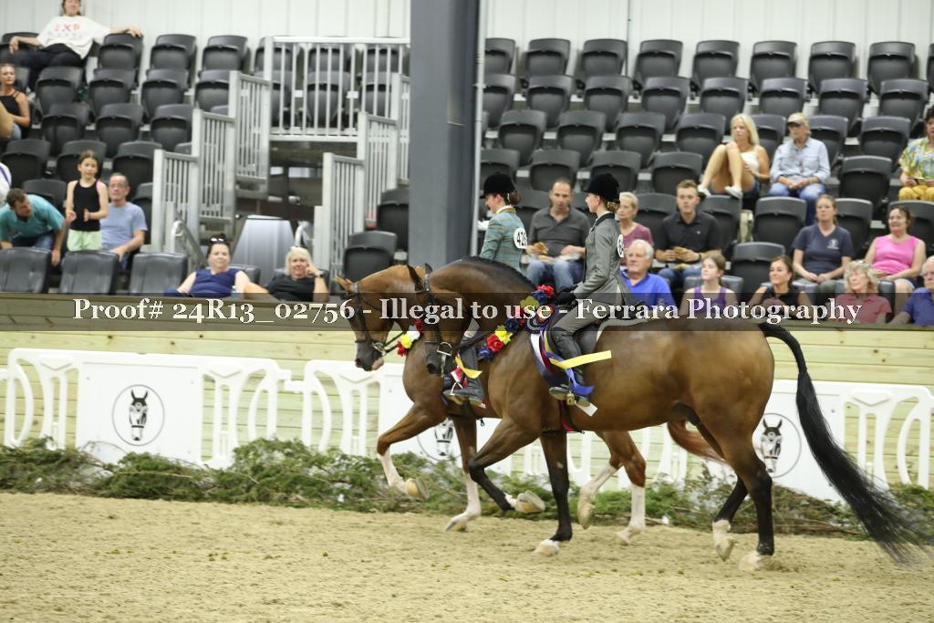 Proof 24R13_02756
