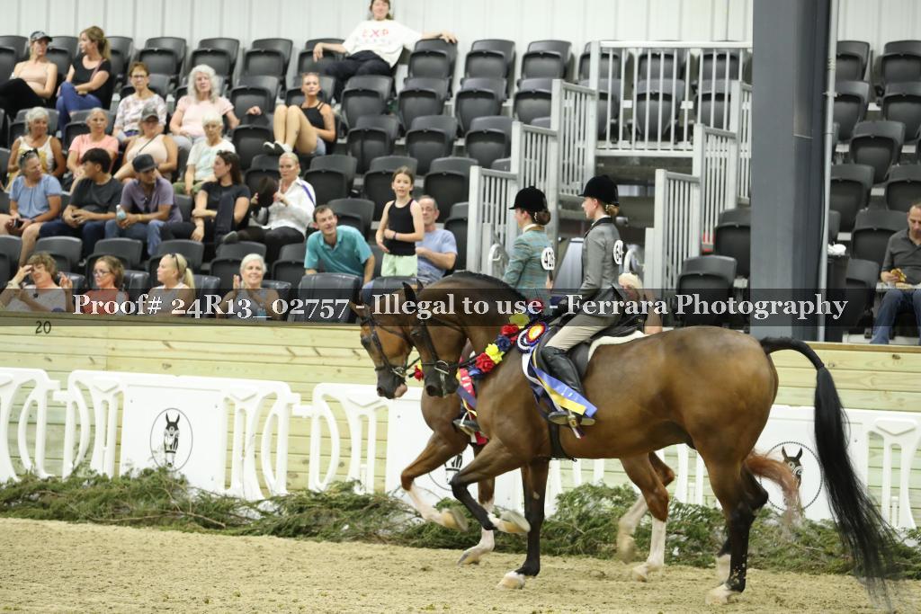 Proof 24R13_02757