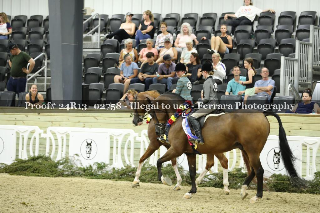Proof 24R13_02758