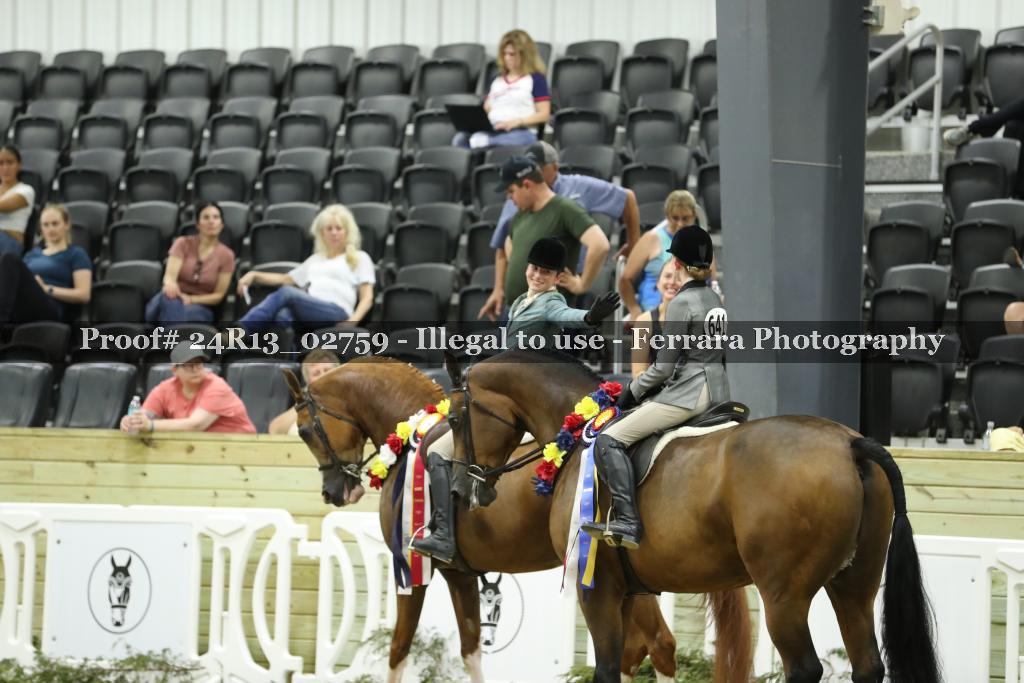 Proof 24R13_02759