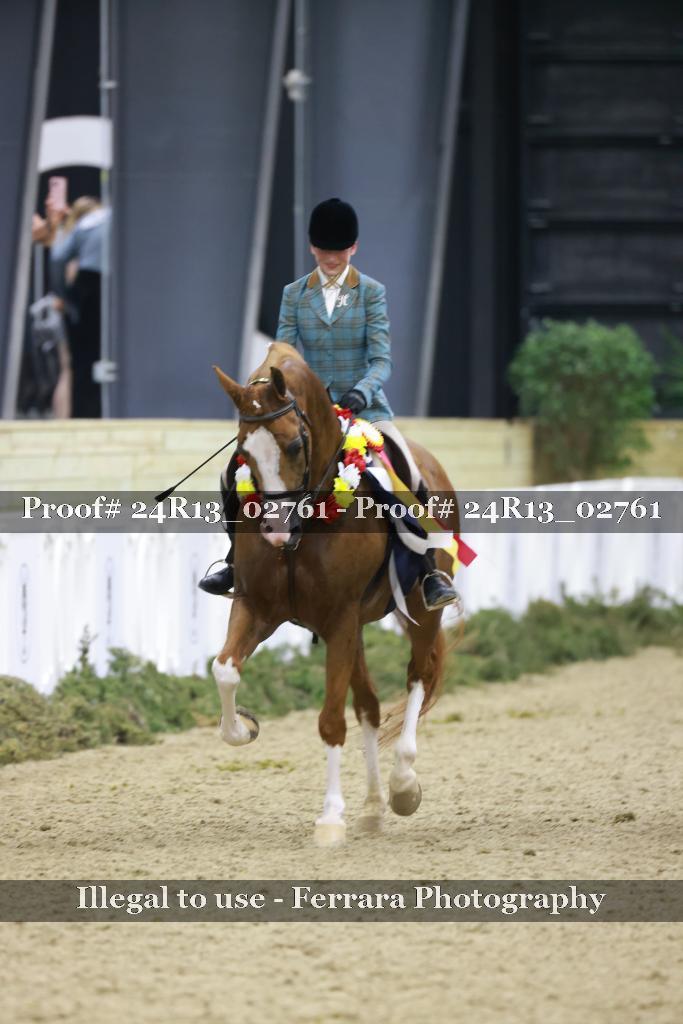 Proof 24R13_02761