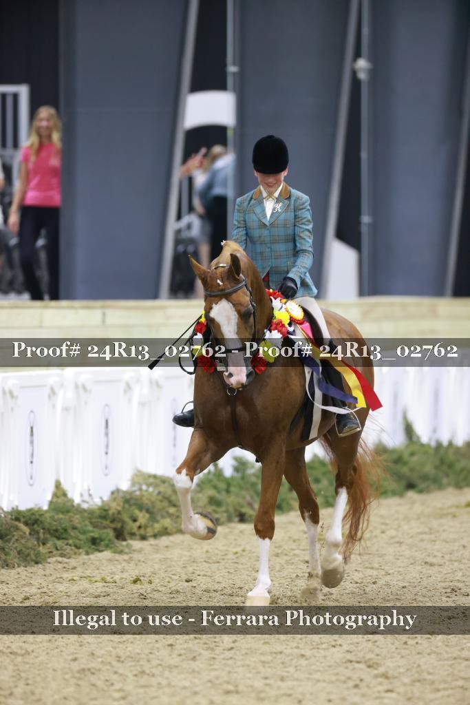 Proof 24R13_02762