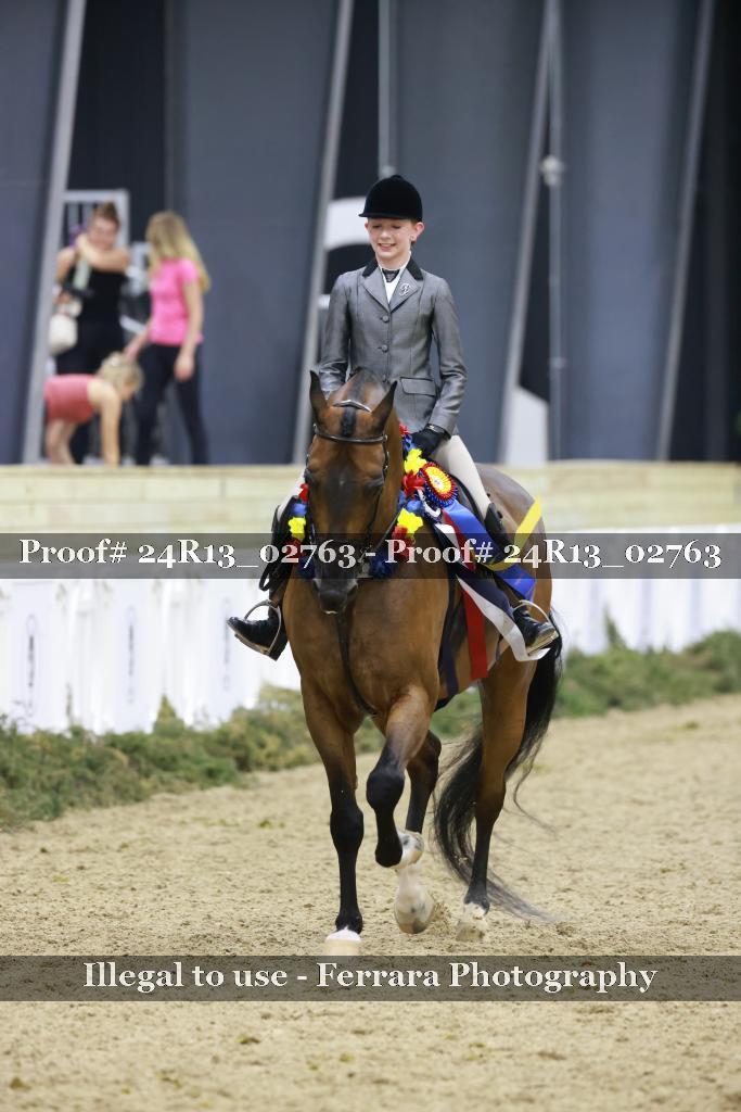 Proof 24R13_02763