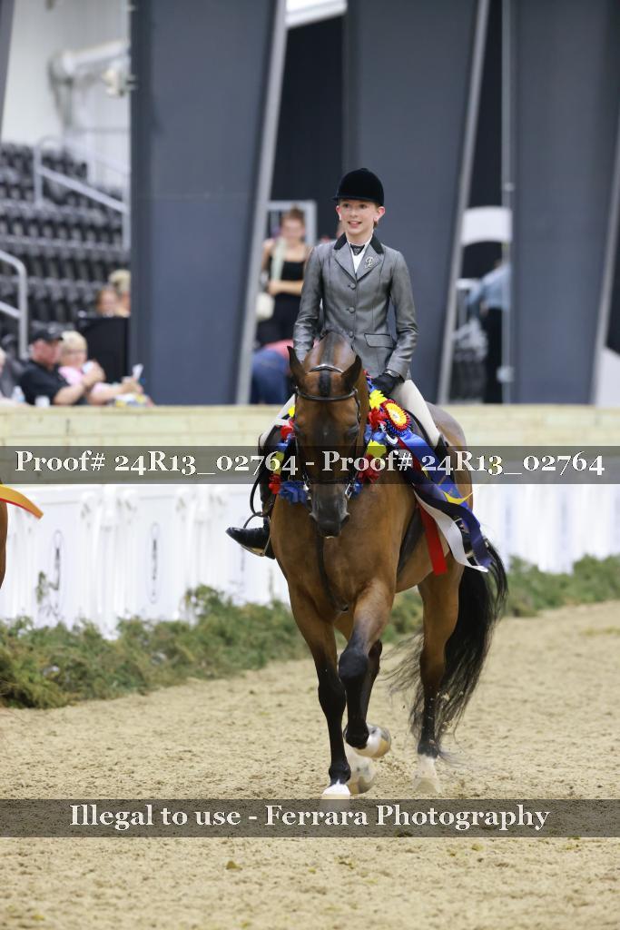 Proof 24R13_02764