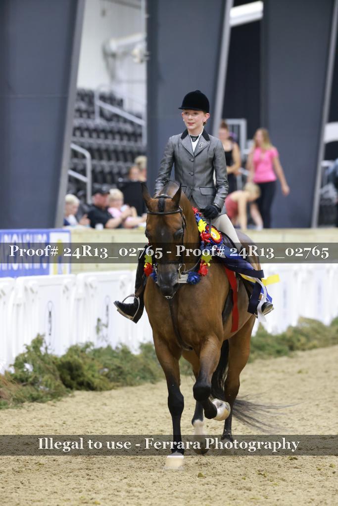 Proof 24R13_02765