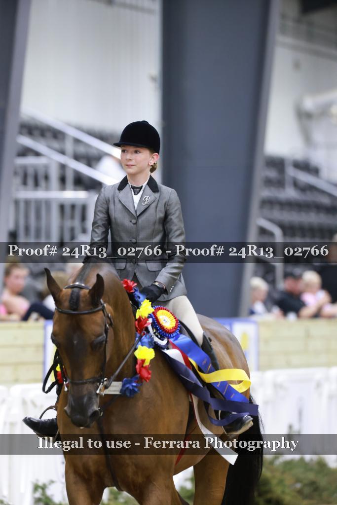 Proof 24R13_02766