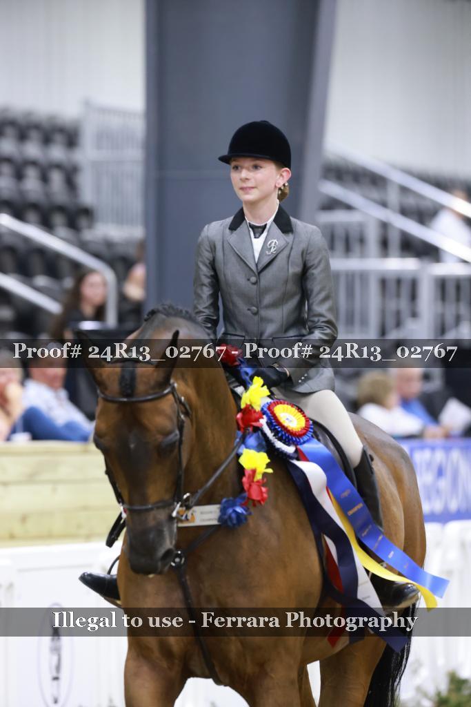 Proof 24R13_02767