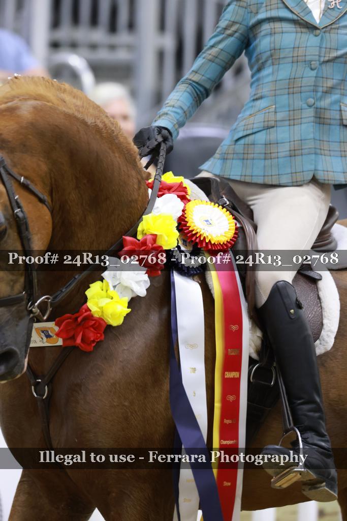 Proof 24R13_02768