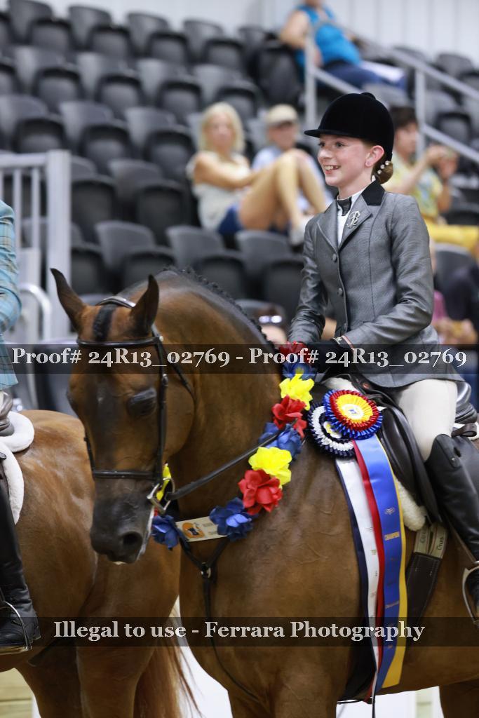Proof 24R13_02769