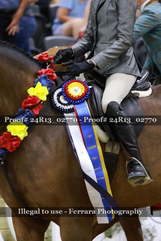 Proof 24R13_02770