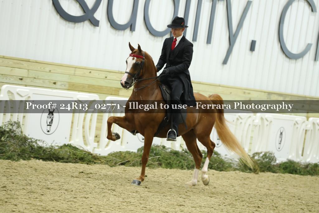 Proof 24R13_02771
