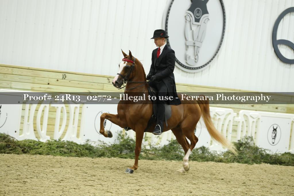 Proof 24R13_02772