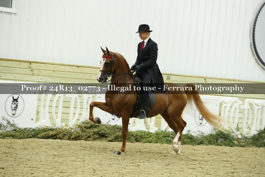 Proof 24R13_02773