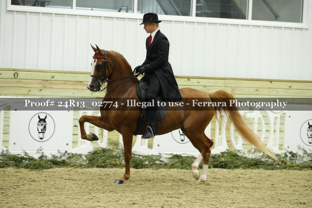 Proof 24R13_02774