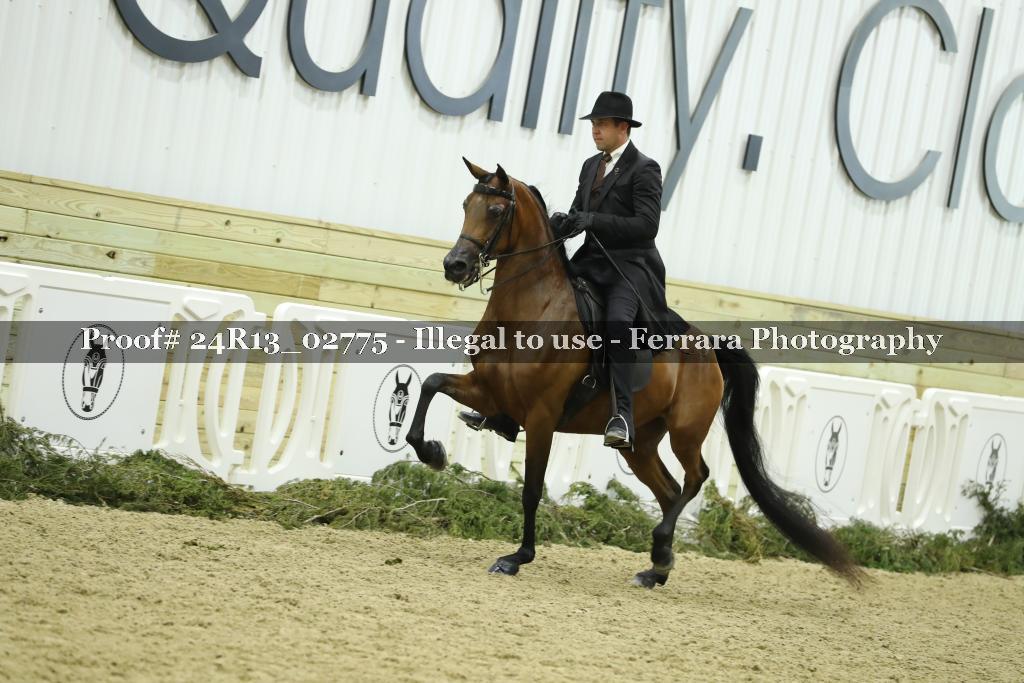 Proof 24R13_02775