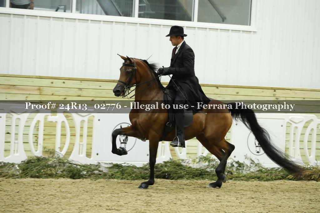Proof 24R13_02776