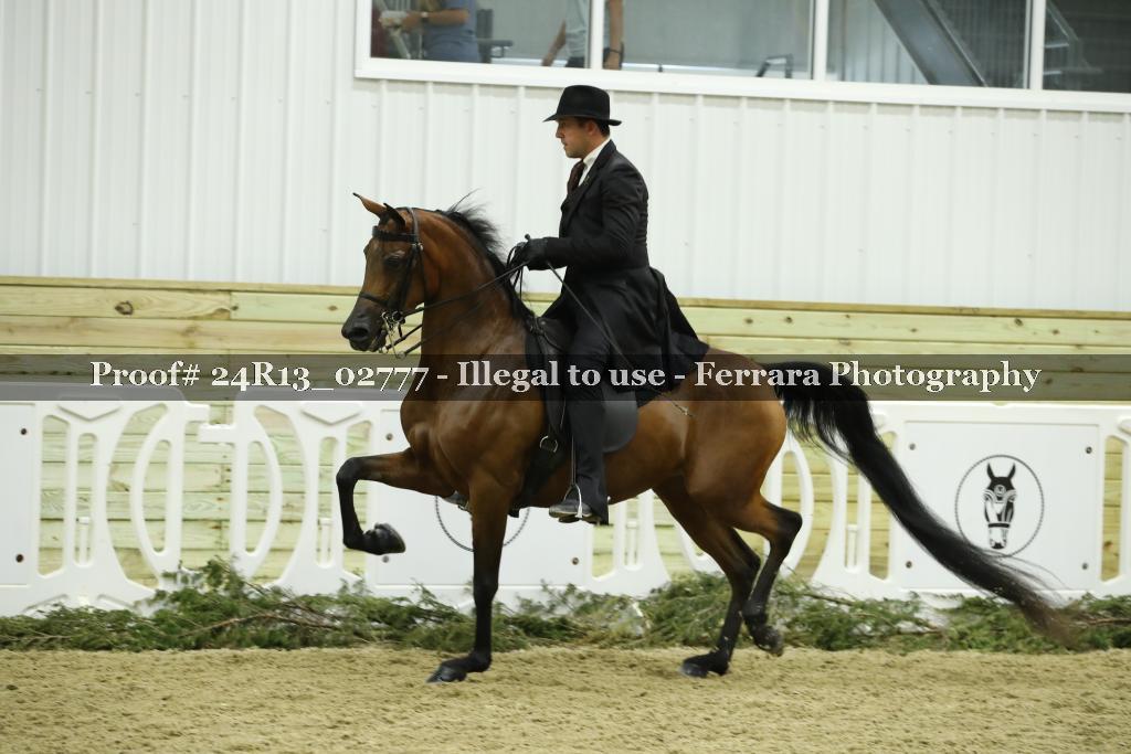 Proof 24R13_02777