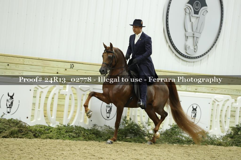Proof 24R13_02778