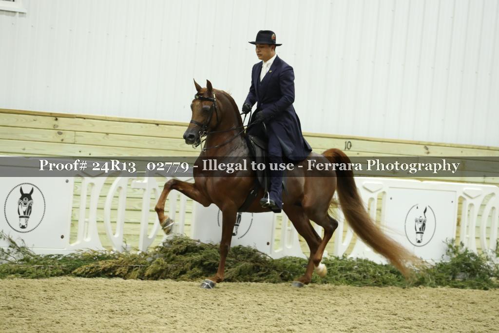 Proof 24R13_02779