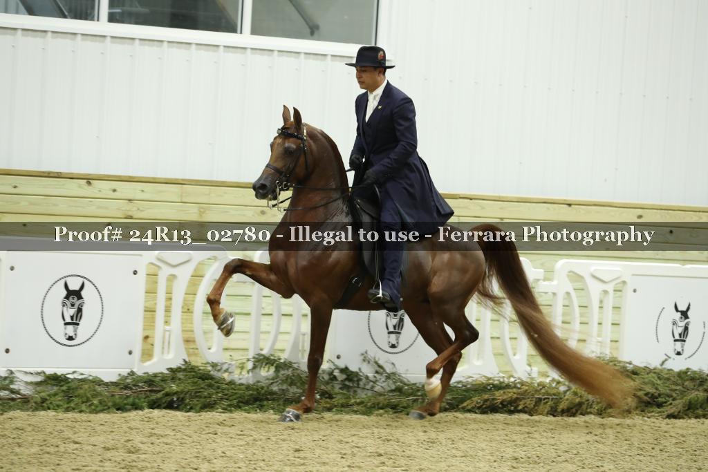 Proof 24R13_02780