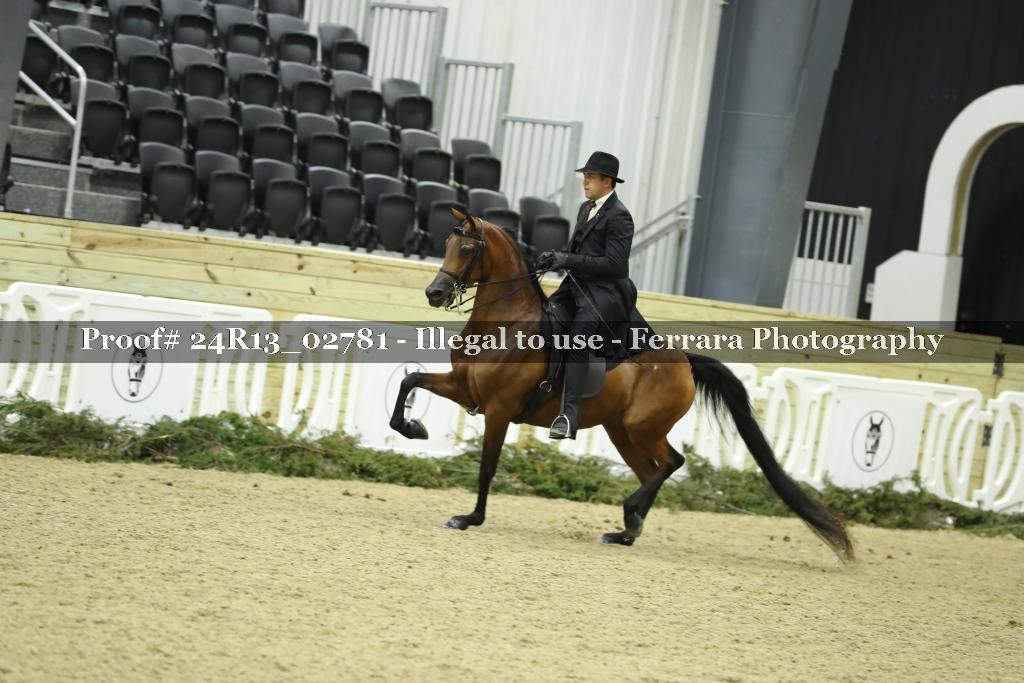 Proof 24R13_02781