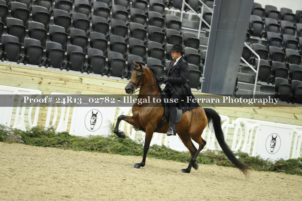 Proof 24R13_02782