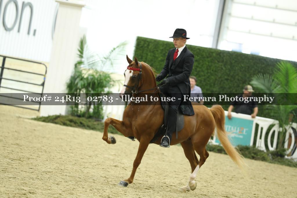 Proof 24R13_02783