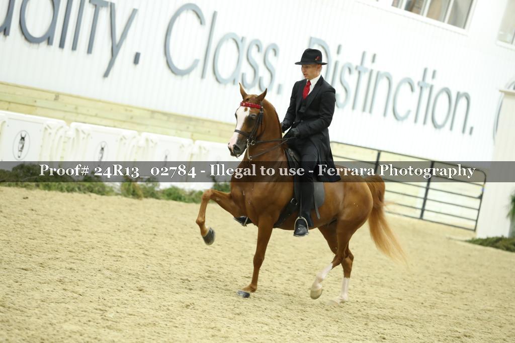 Proof 24R13_02784