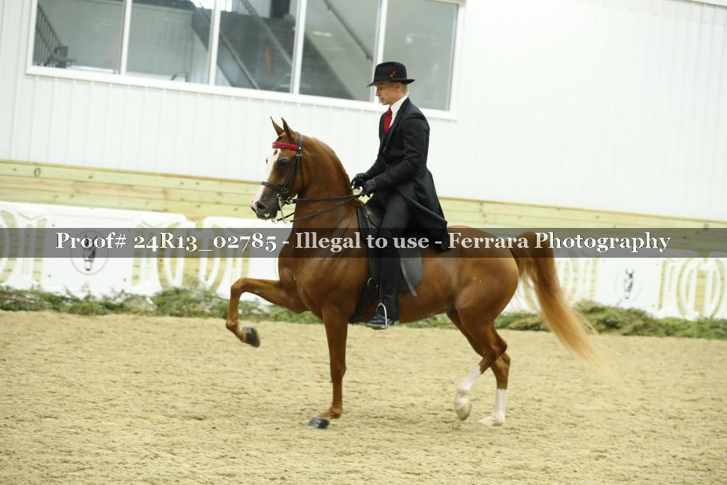 Proof 24R13_02785