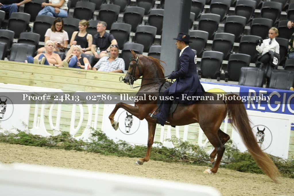 Proof 24R13_02786