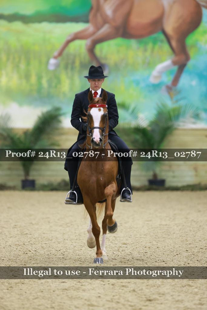 Proof 24R13_02787
