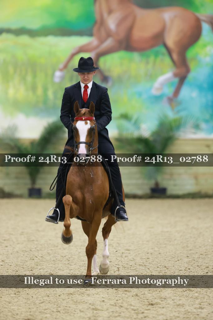 Proof 24R13_02788