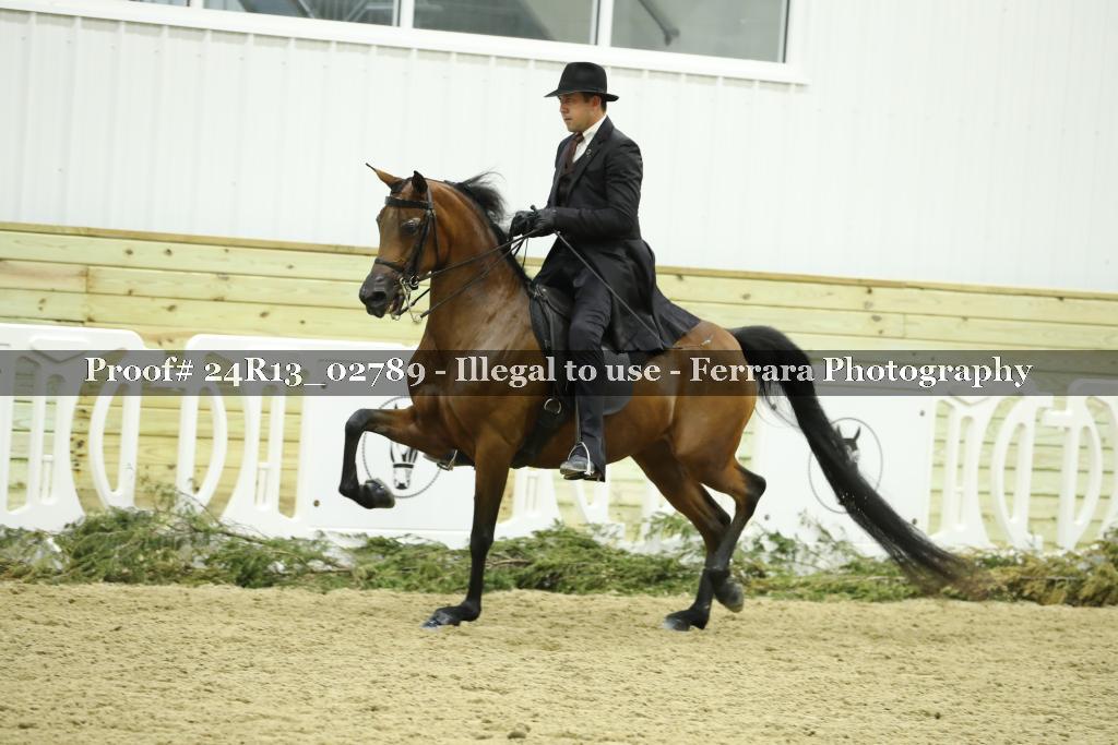 Proof 24R13_02789