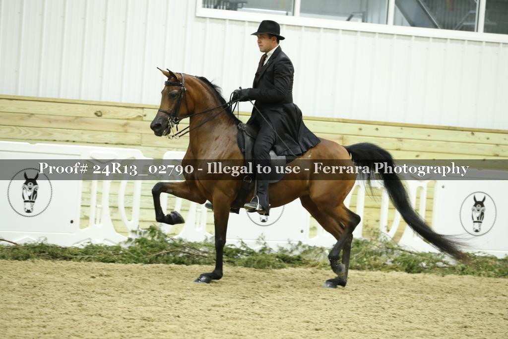 Proof 24R13_02790