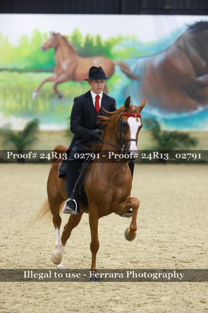 Proof 24R13_02791