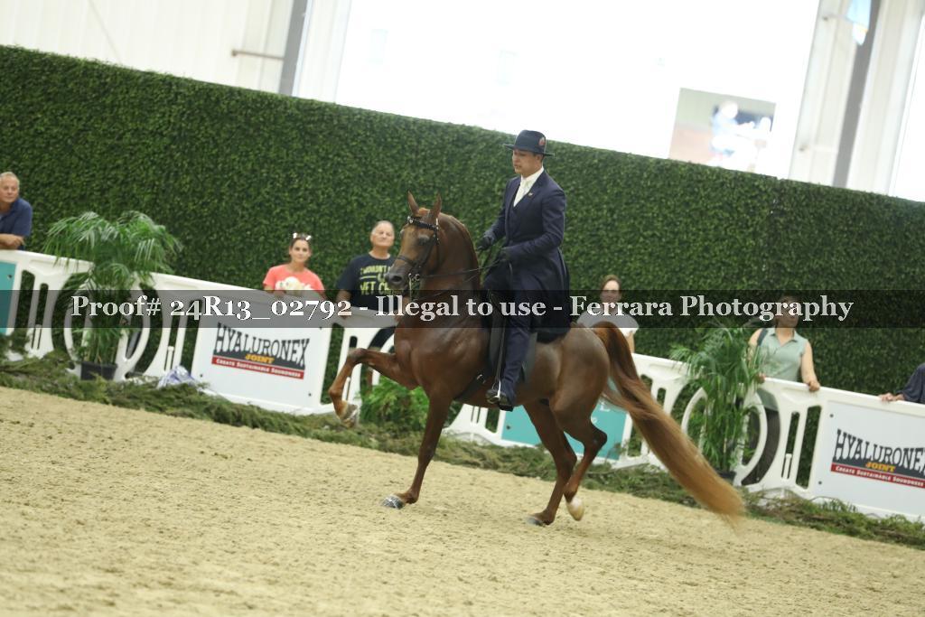 Proof 24R13_02792