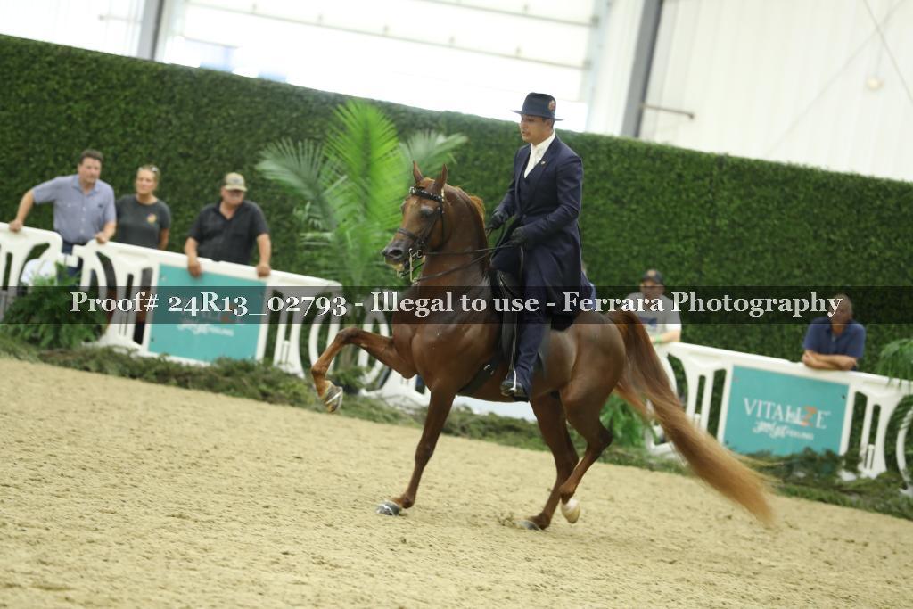 Proof 24R13_02793