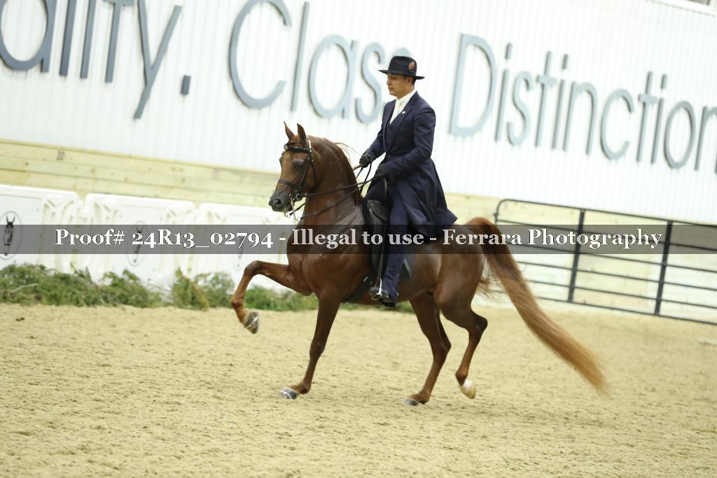 Proof 24R13_02794