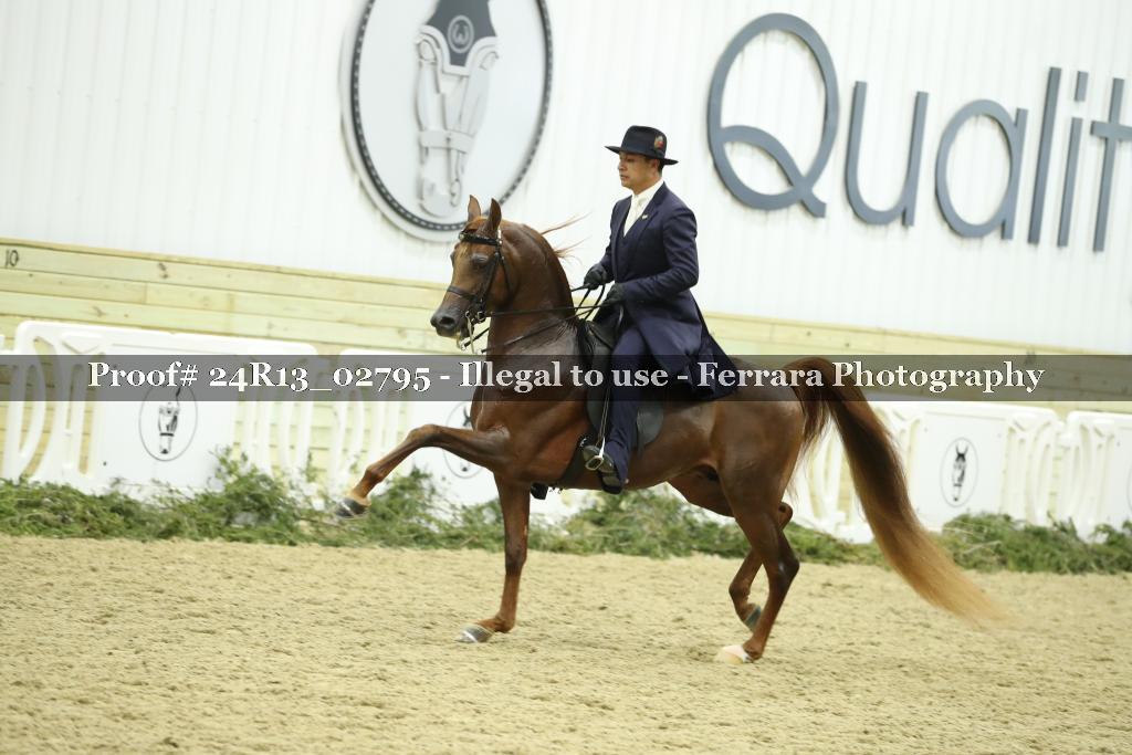 Proof 24R13_02795