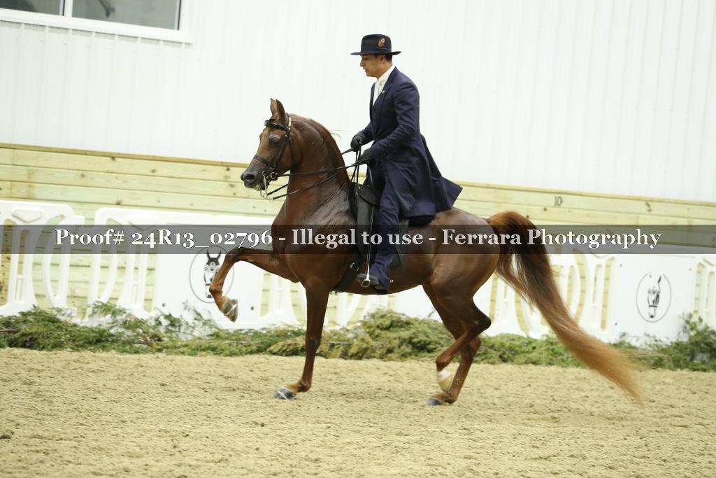 Proof 24R13_02796