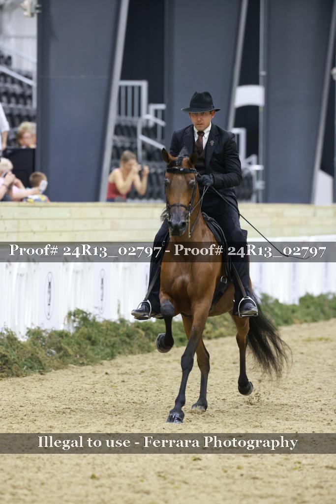 Proof 24R13_02797