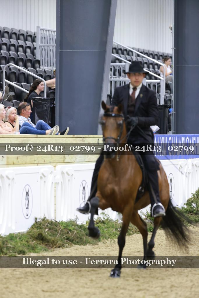 Proof 24R13_02799