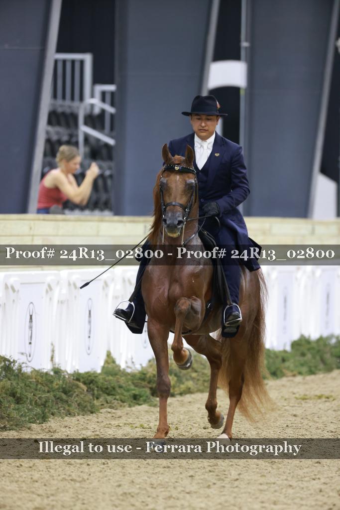 Proof 24R13_02800