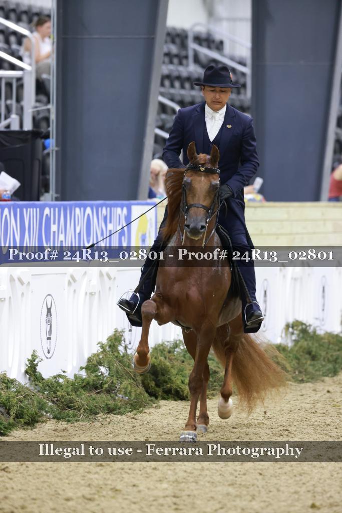 Proof 24R13_02801