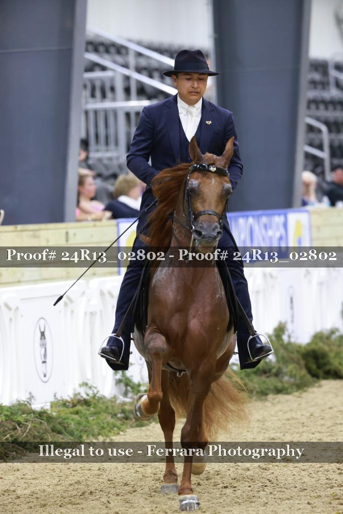 Proof 24R13_02802
