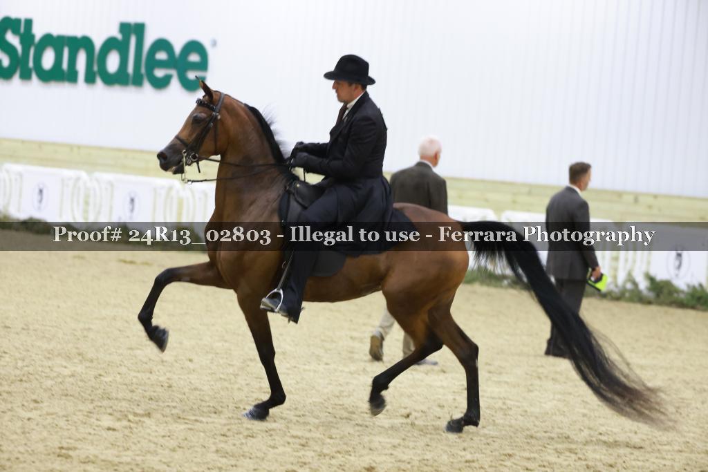 Proof 24R13_02803