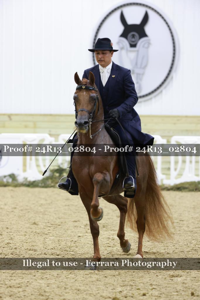 Proof 24R13_02804