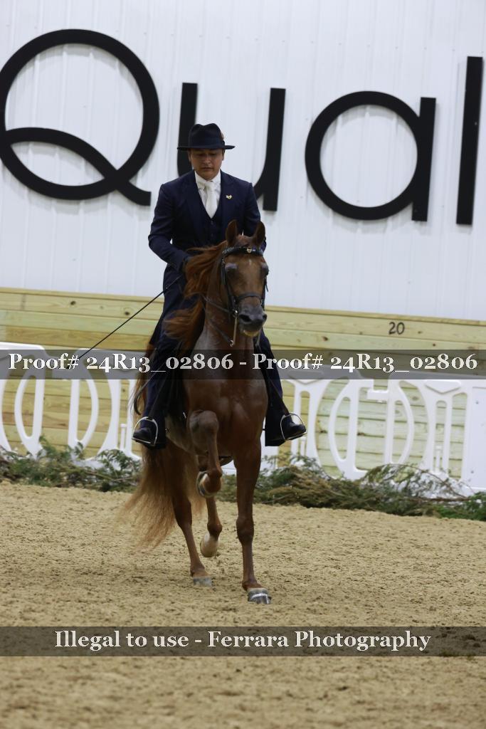 Proof 24R13_02806