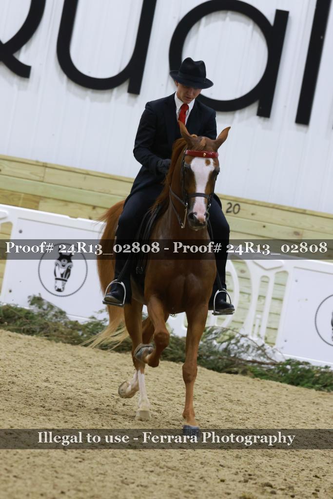 Proof 24R13_02808